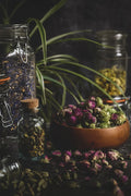 Holistic Consult
